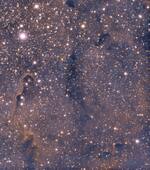 2022-06-11 : IC 1396 à la caméra CCD