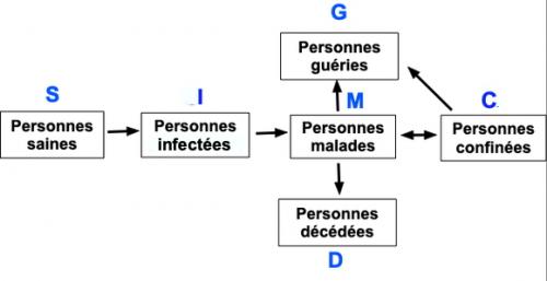 Davantage d'informations sur les méthodes de prévision des épidémies.