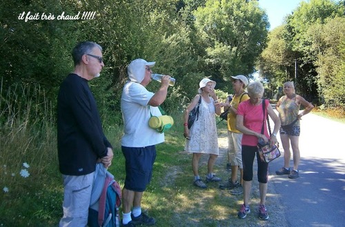 Ce lundi 11 juillet , 17 randonneurs ont marché à Pluneret pour effectuer 7,600km sous un soleil de plomb !!! Quel courage !!!!