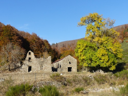 L'Abbaye du Bonheur (30)