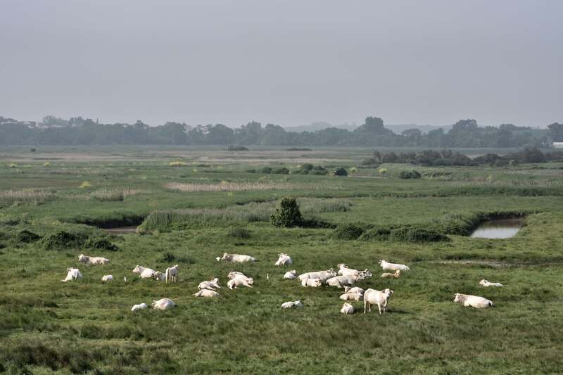 2018.05.08 Village de Hiers-Brouage et de St-Palais sur Mer (Charente-Maritime)