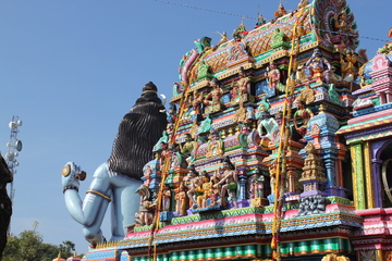 Sigiriya et Dambulla du 19 au 20 février 2015