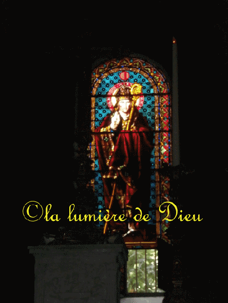 Saint Rémy de Provence, collégiale Saint Martin