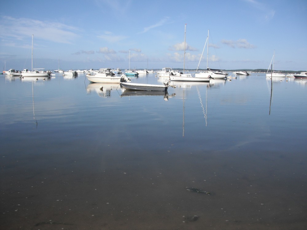 Première sortie de l'année en canoë...