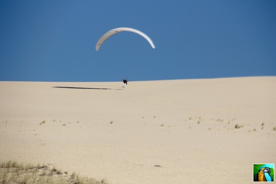 Tour du bassin d'Arcachon : 8 Dune du Pilat