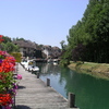 Le Canal de Savière alimentant le lac du Bourget depuis le Rhône