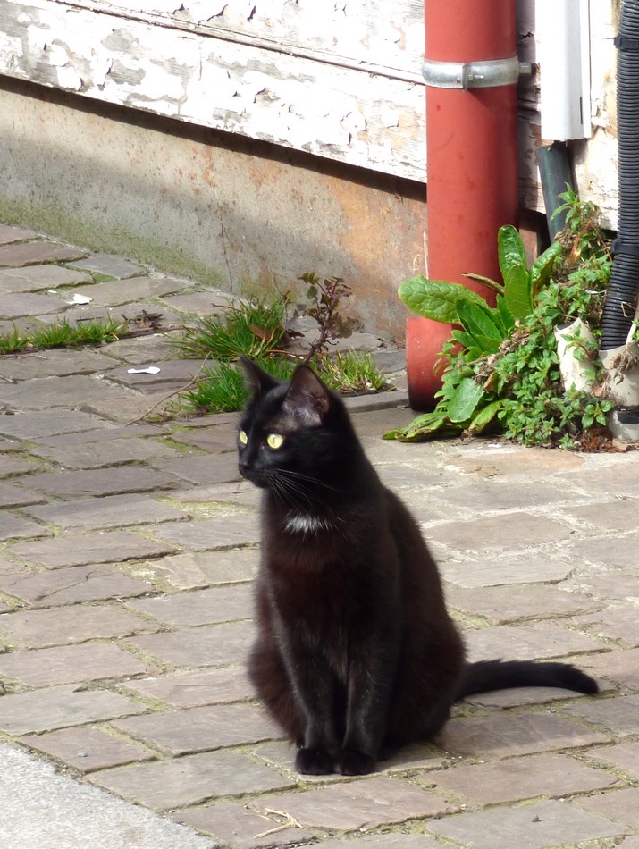 Mes "regards" dans le quartier St-Leu 