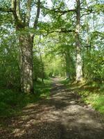 La randonnée du 8 mai au Locheur