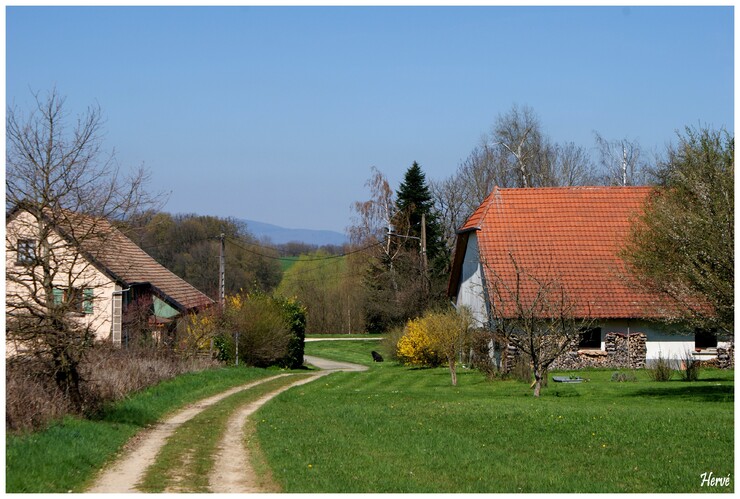 Randonnée à Brebotte (90) - 3/3.