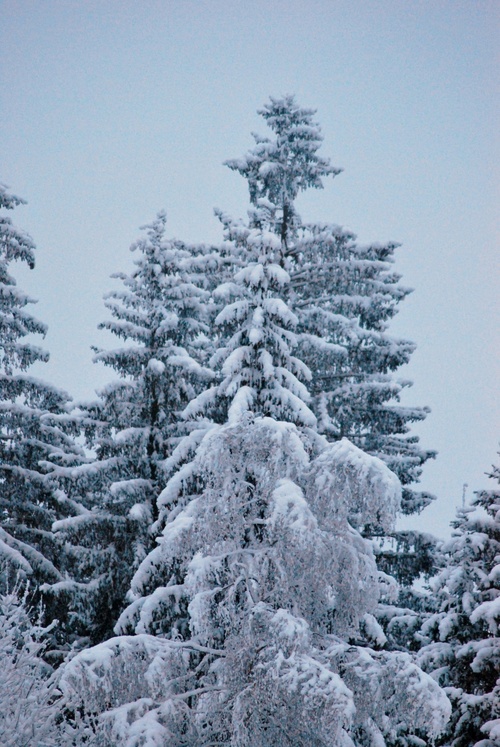 Megève et ses paysages enneigés