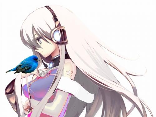 Birdy