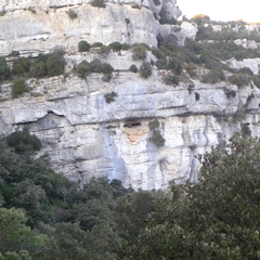 Thermographie des falaises de la Cesse - de l'Aldène à la grotte des Poteries.