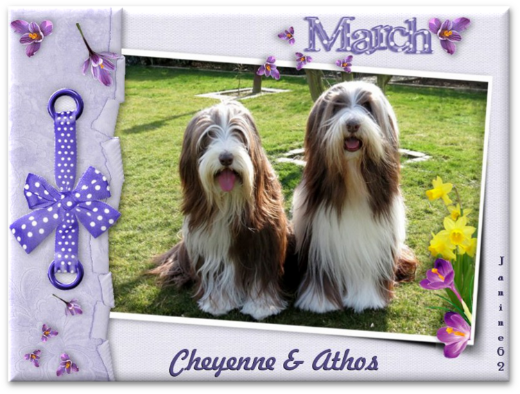 ♥ Bonne semaine  d' Athos & Cheyenne ♥