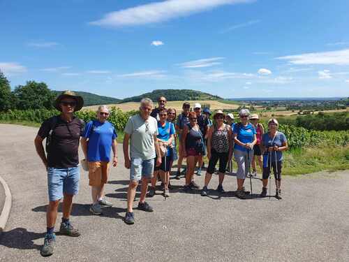 CR RANDO DES VIGNES BRULEY 08/07/2024