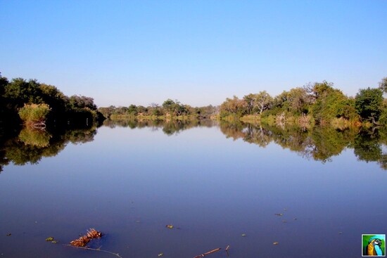 AFRIQUE  DU  SUD : Juin 2018: safari du matin suite : 2/2