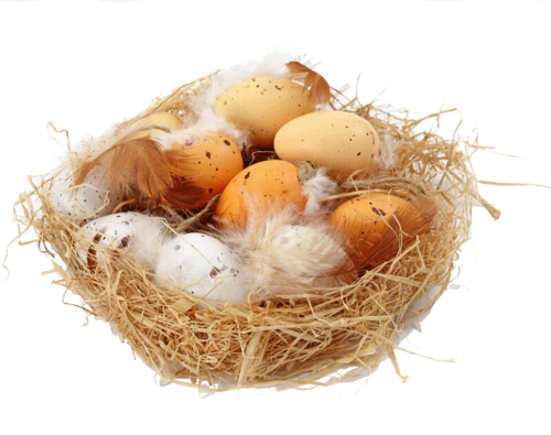 Pâques nids 4