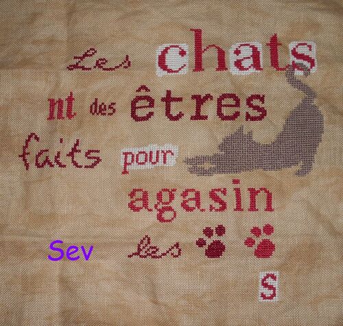SAL " Les Chats" - 9 et 10
