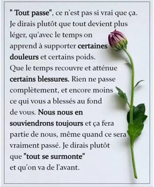 Peut être une image de texte qui dit ’"Tout passe", ce n’est pas si vrai que ça. Je dirais plutôt que tout devient plus léger, qu’avec le temps on apprend à supporter certaines douleurs et certains poids. Que le temps recouvre et atténue certains blessures. Rien ne passe complètement, et encore moins ce qui vous a blessés au fond de vous. Nous nous en souviendrons toujours et ça fera partie de nous, même quand ce sera vraiment passé. Je dirais plutôt que "tout se surmonte" et qu’on va de l’avant.’