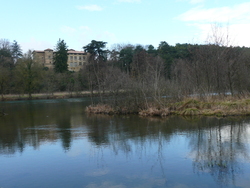 28 Févr. 2017  Le bois de l'âne