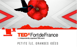 TEDx Fort-de-France : Petite île, Grandes idées