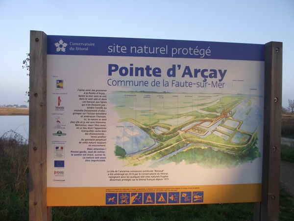 Pointe d' Arçay, La Faute-sur-Mer