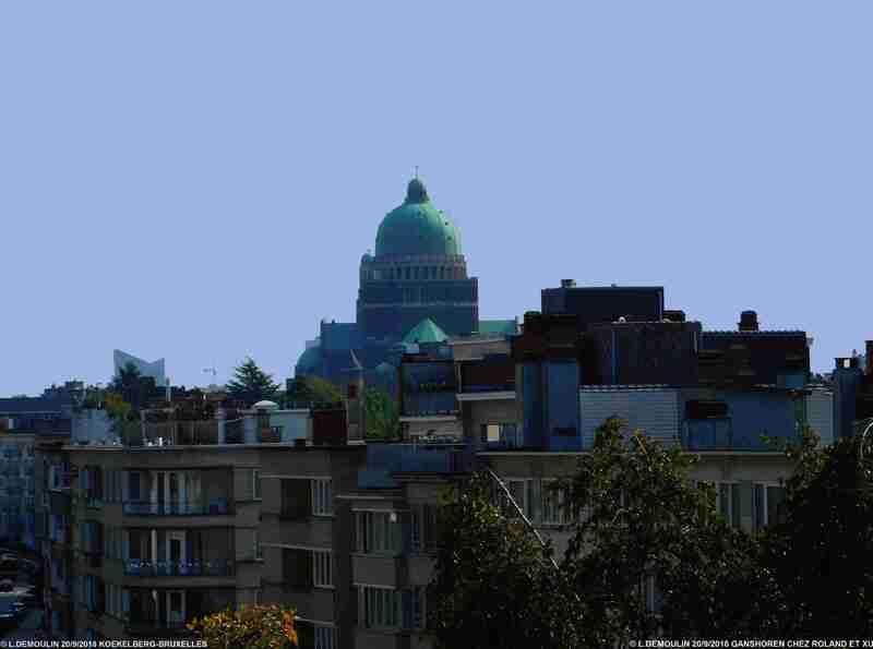 JEUDI VISITE A BRUXELLES CHEZ MES AMIS ROLAND ET XU