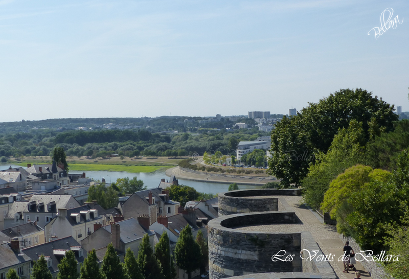 Angers - Le château d'Angers - Vues du haut des tours - 1