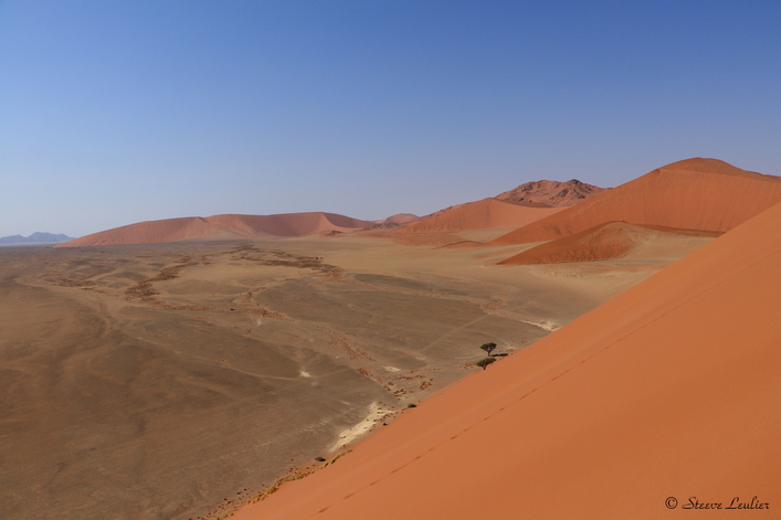 Erg du Namib, la dune 45