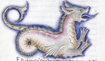 cetus-dragon