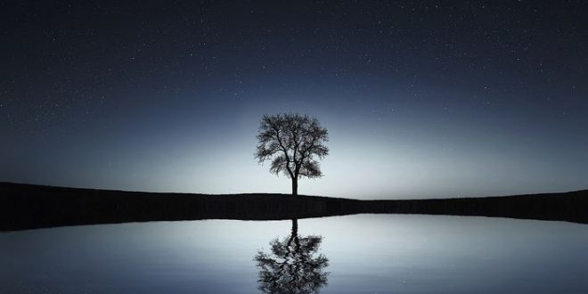 LES NUITS CLAIRES