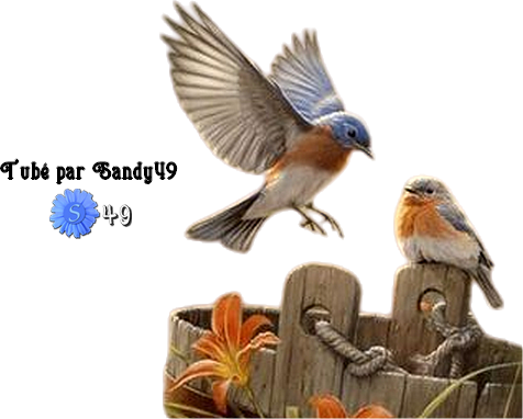 Mes tubes Animaux.. Oiseaux