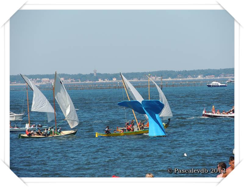 Arcachon - Fêtes de la mer 2013 - 4/4