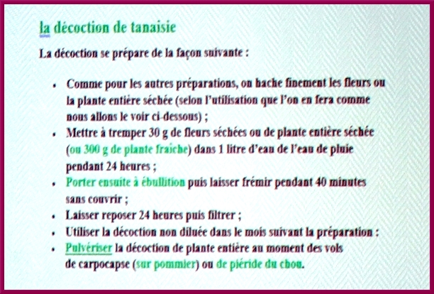 Gilles Seytre a présenté  au club des Anciens de Nod sur Seine, une étude fort intéressante sur les propriétés de plantes que nous pouvons cultiver dans nos jardins