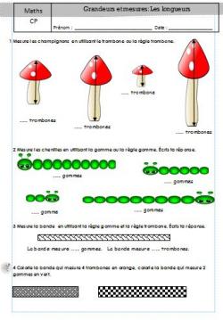  Geometrie CP :comparer des longueurs et mesurer en cm