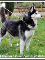 Ourika (3 ans)