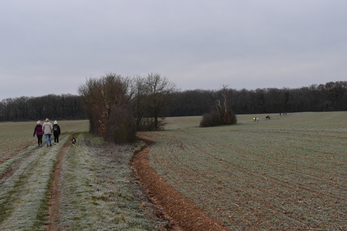 Randonnée hivernale