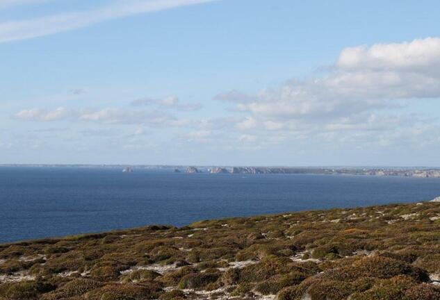 Cap de la chèvre (3)