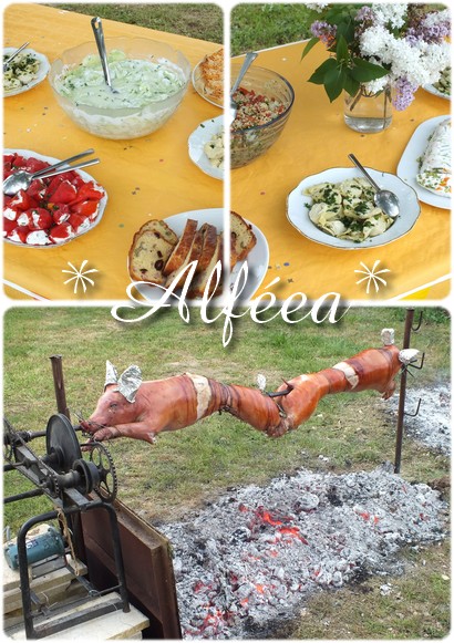 Art de la table - Couleurs #08