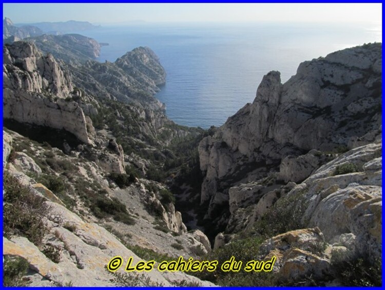 Le renard des calanques suite et ...fin !