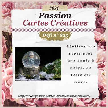 Passion Cartes Créatives#825 !