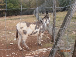 Parc animalier