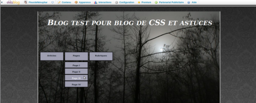 Comment mettre des menus sur le header ?