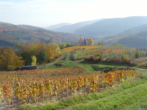 lumières d'automne