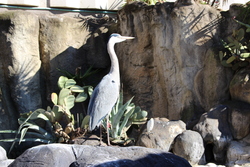 Photos du Zoo de Barcelona !