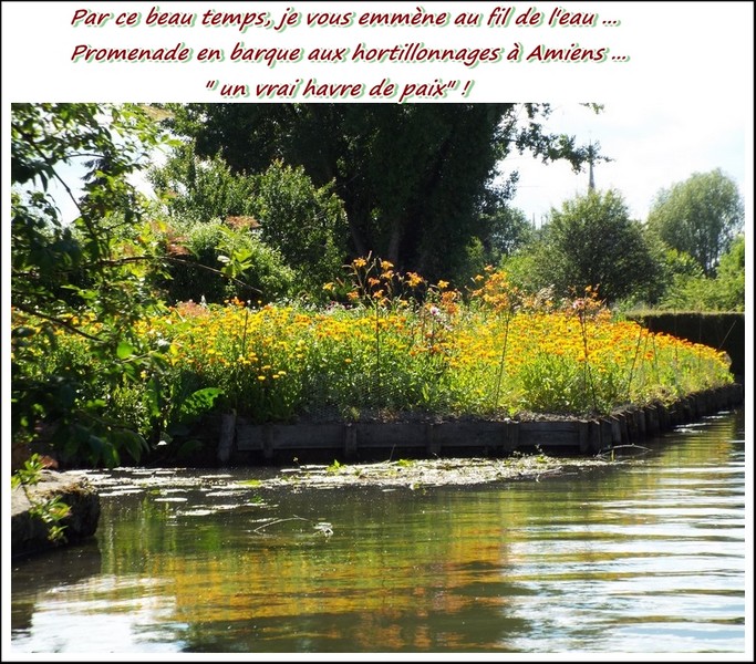 Hortillonnages d'Amiens 