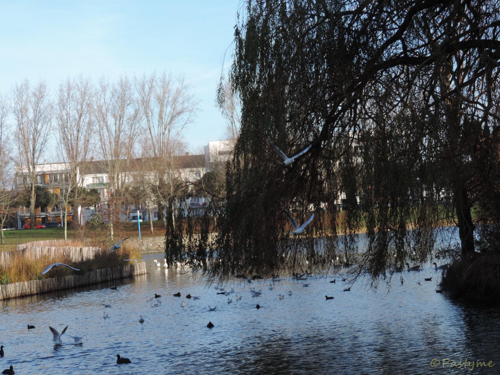 Parc Paysager de Saint Nazaire
