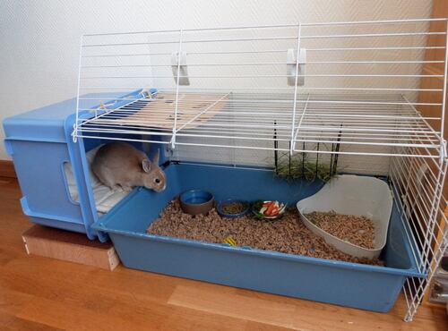 Une cage fait maison pour mon lapin ♥