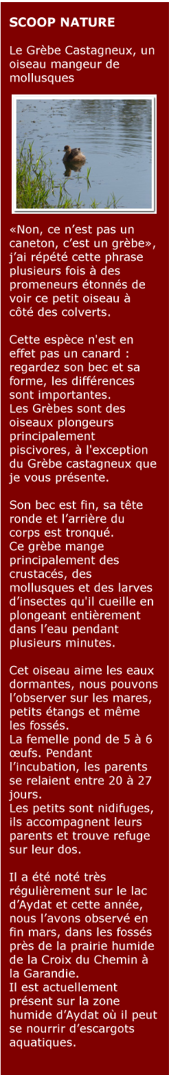 LETTRE D'INFORMATION - SEPTEMBRE 2013