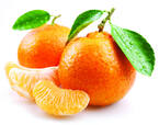 Oranges Mandarine Pamplemousse