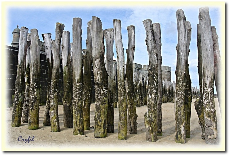 Promenade sur la plage